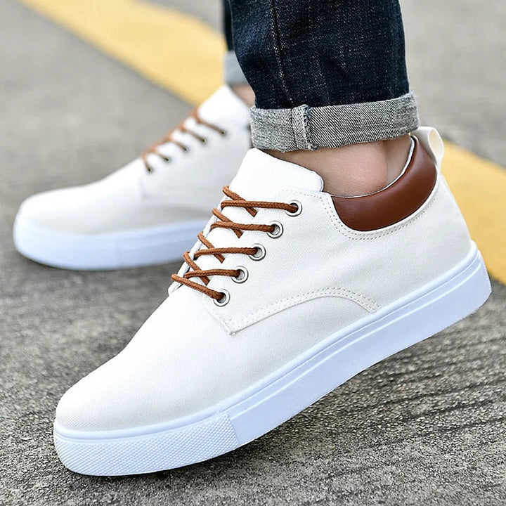 Sneaker basse en toile Monarch