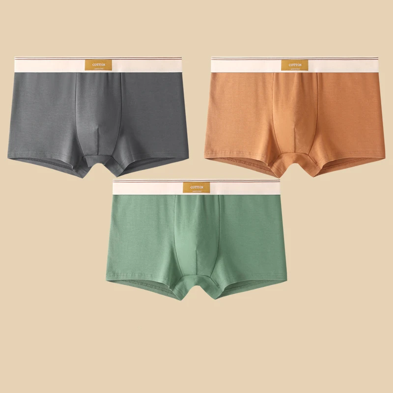 Set di boxer Cotton Theory