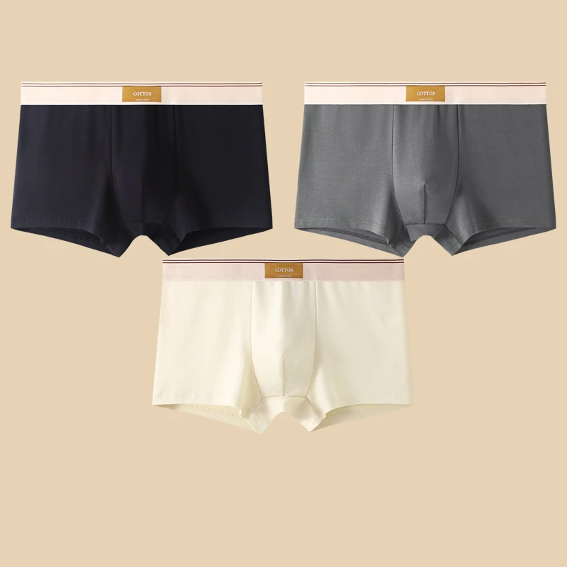 Set di boxer Cotton Theory