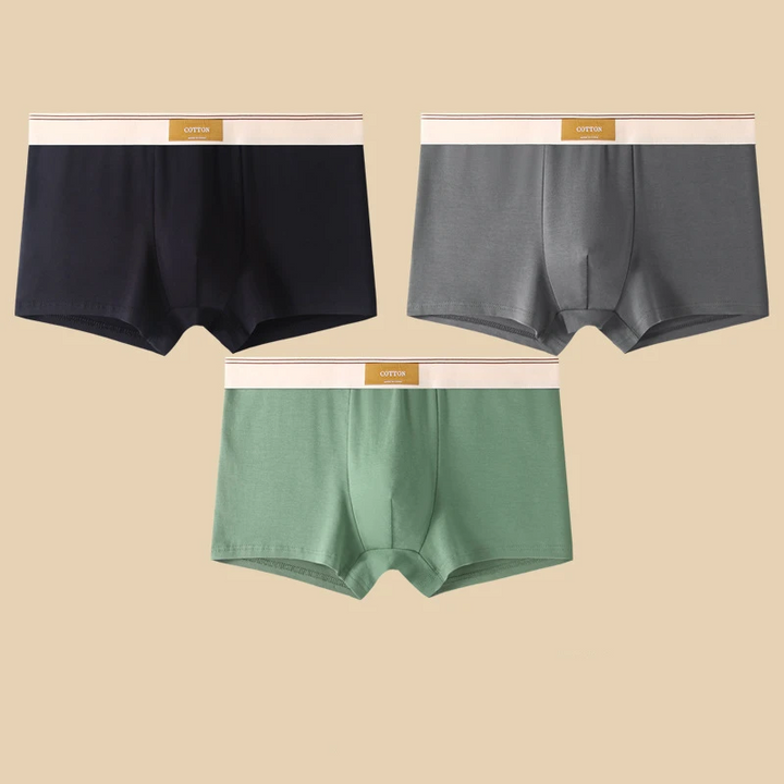 Set di boxer Cotton Theory