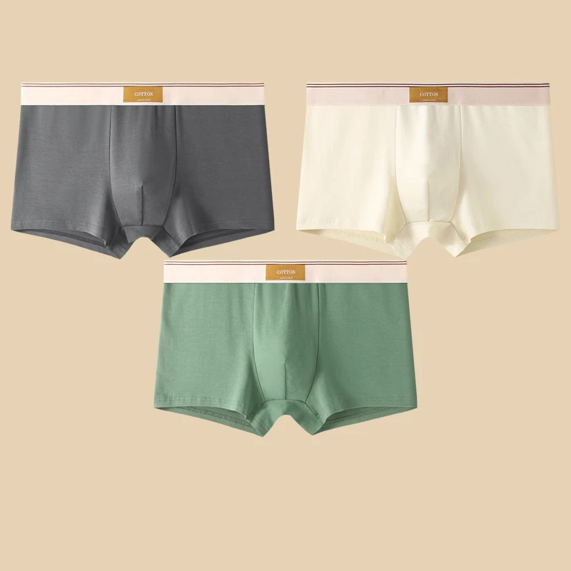 Set di boxer Cotton Theory