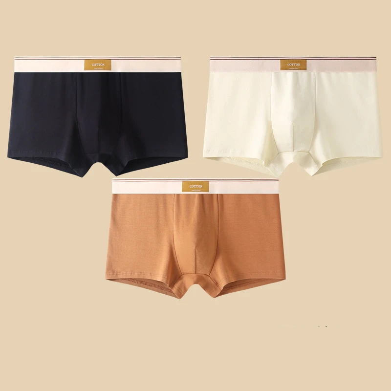 Set di boxer Cotton Theory
