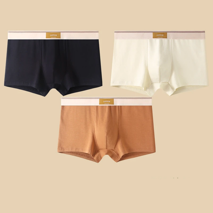 Set di boxer Cotton Theory
