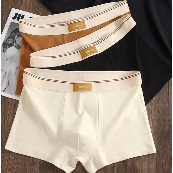 Set di boxer Cotton Theory