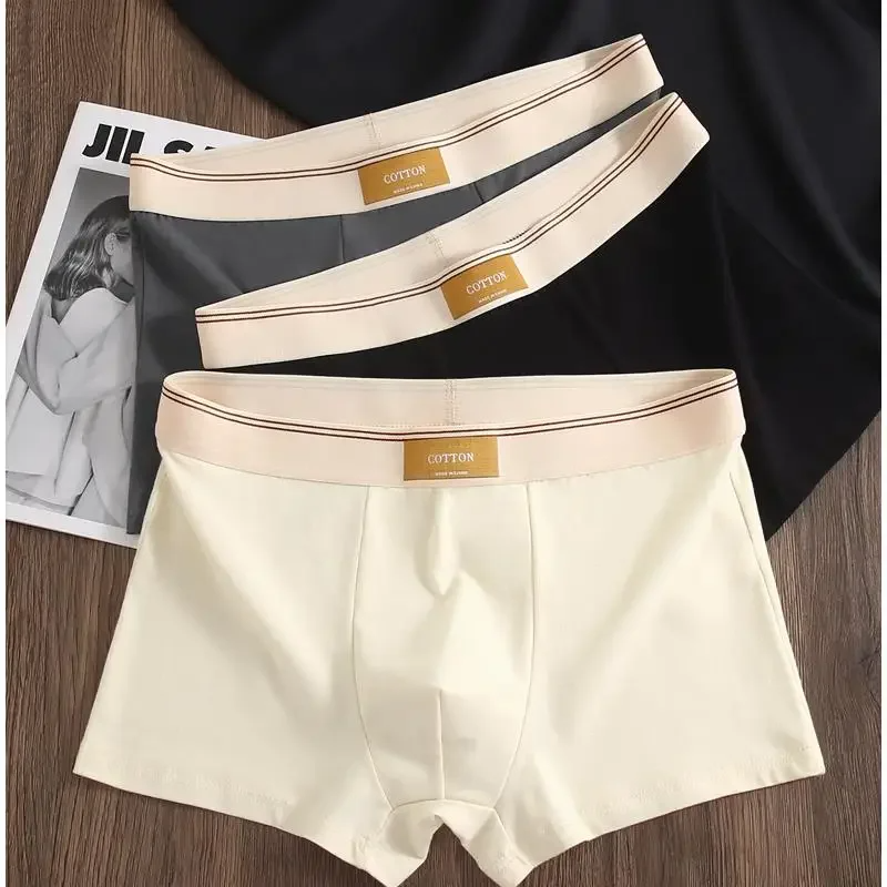 Set di boxer Cotton Theory