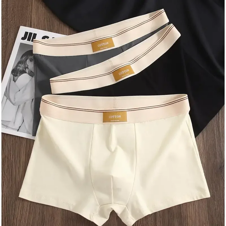 Set di boxer Cotton Theory