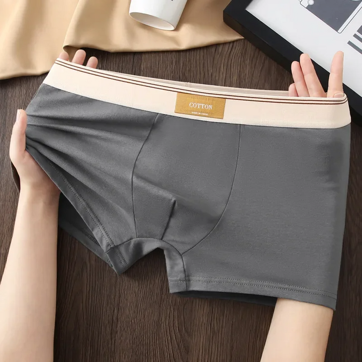 Set di boxer Cotton Theory