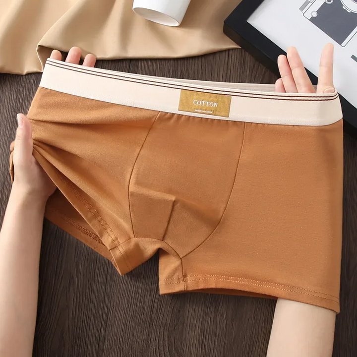 Set di boxer Cotton Theory