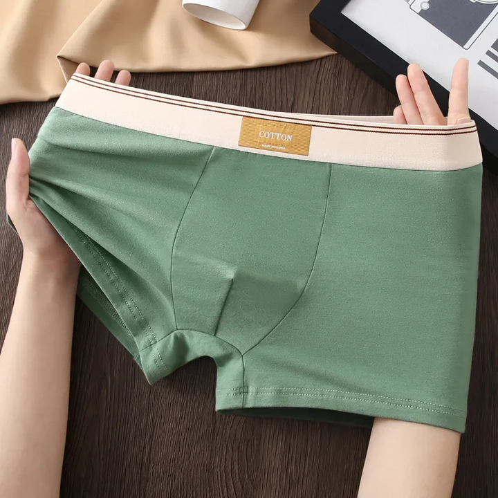 Set di boxer Cotton Theory